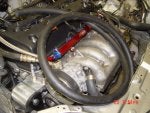 POWER STEERING FEED LINE(HUGE HOSE).JPG