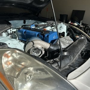 IMG_6713.jpeg