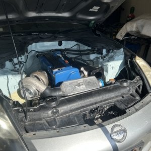 IMG_6558.jpeg